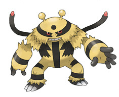 Pokemon Battle Revolution's Electivire  secret codes